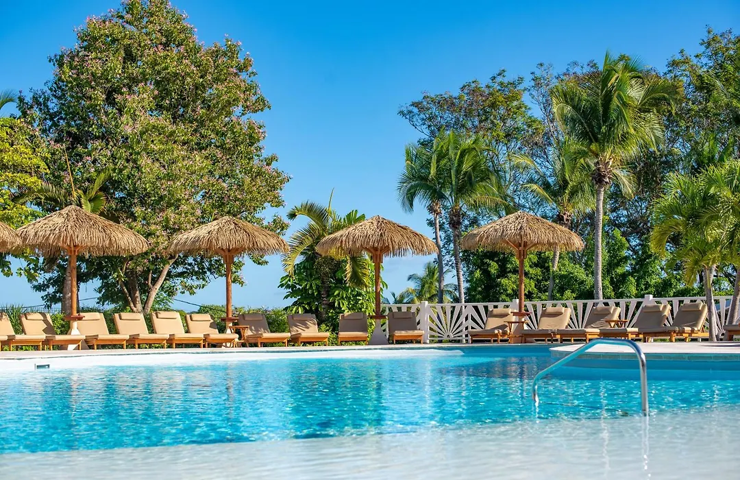 Le Relais Du Moulin - Hotel De Charme & Spa Adult Only-1