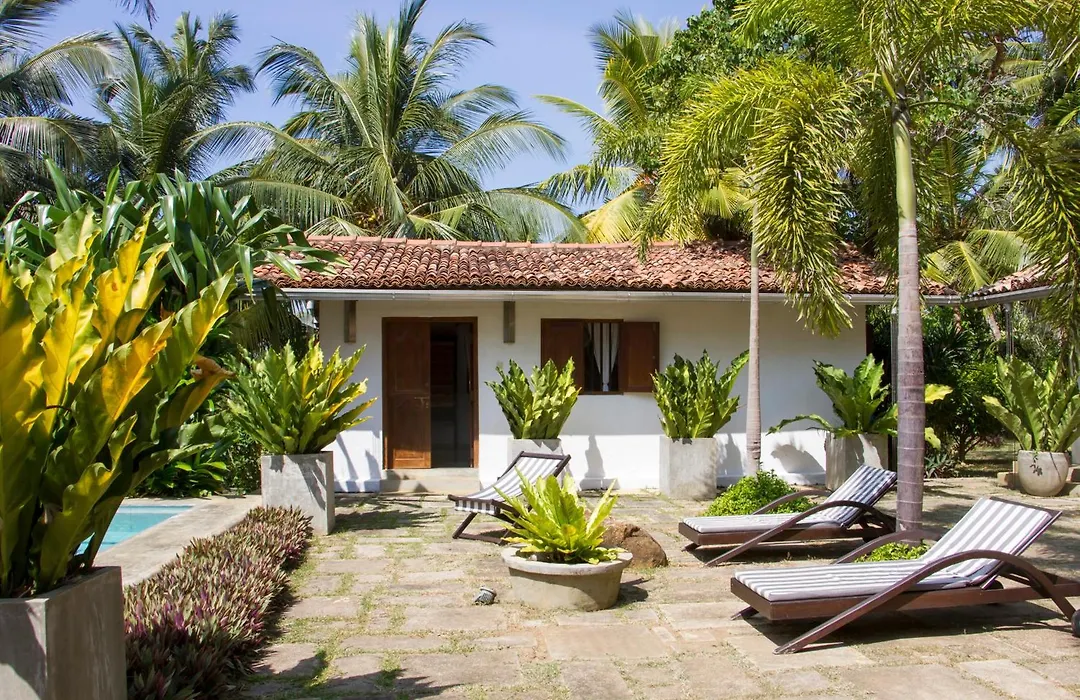 The Saffron House-1
