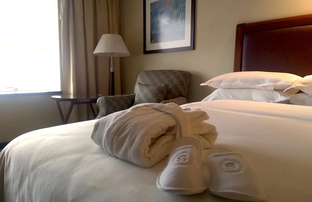 Sheraton Mendoza Hotel-1