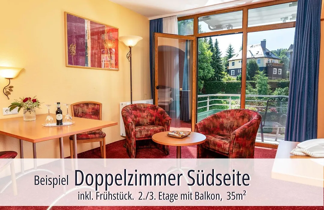 Hotel Am Kurhaus Mit Erstem Ayurveda Center Sachsens - Direkt Am Gesundheitsbad Actinon & Kurpark-1