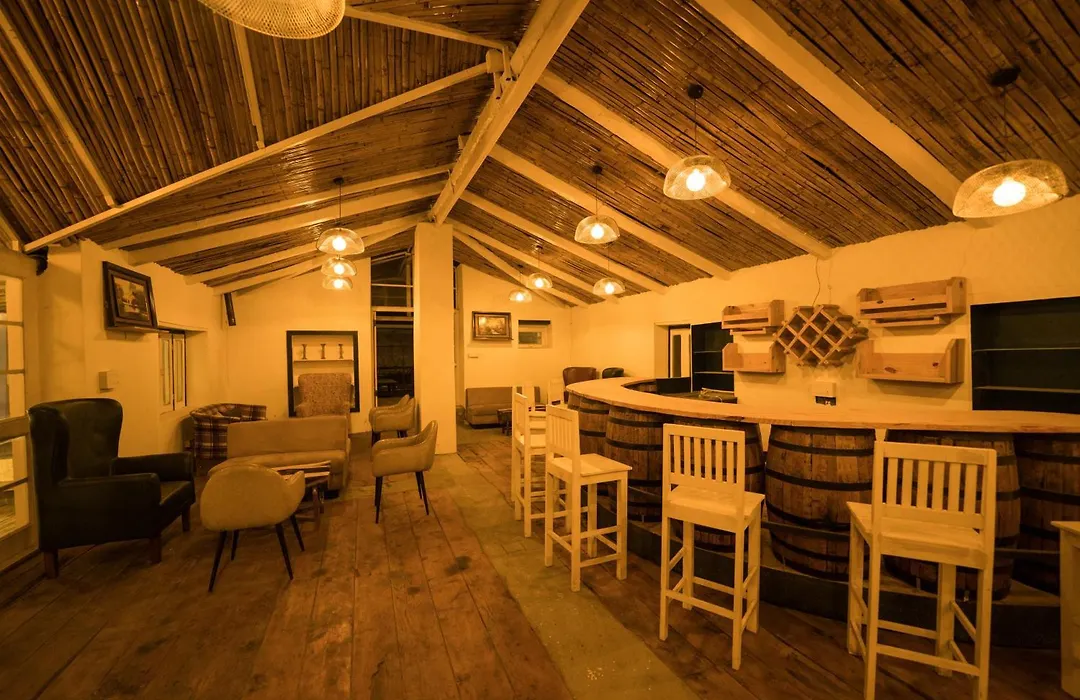 The Village Manali- Cafe, Bar & Bistro-1