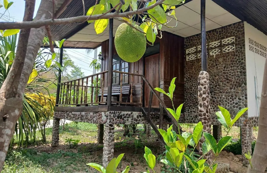 Bamboo House-1