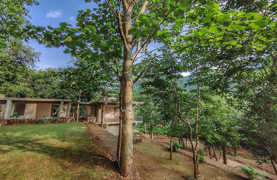 Atali Ganga Resort, Rishikesh-1