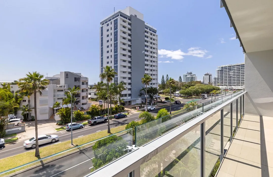 Verve On Cotton Tree-1