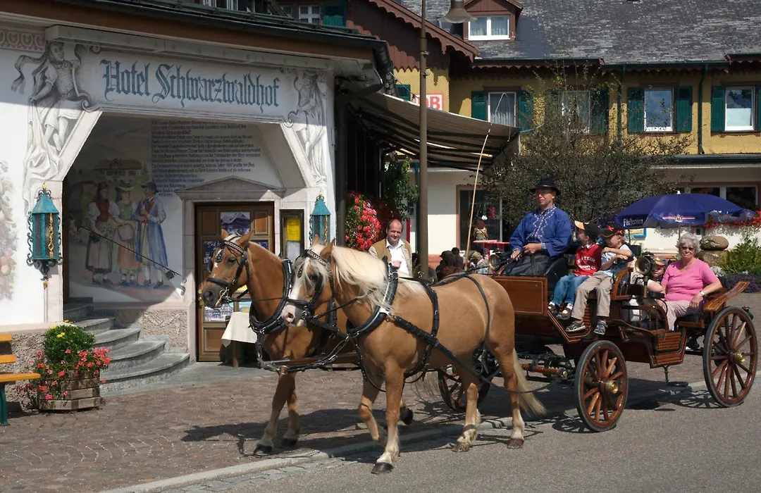 Hotel Schwarzwaldhof-1