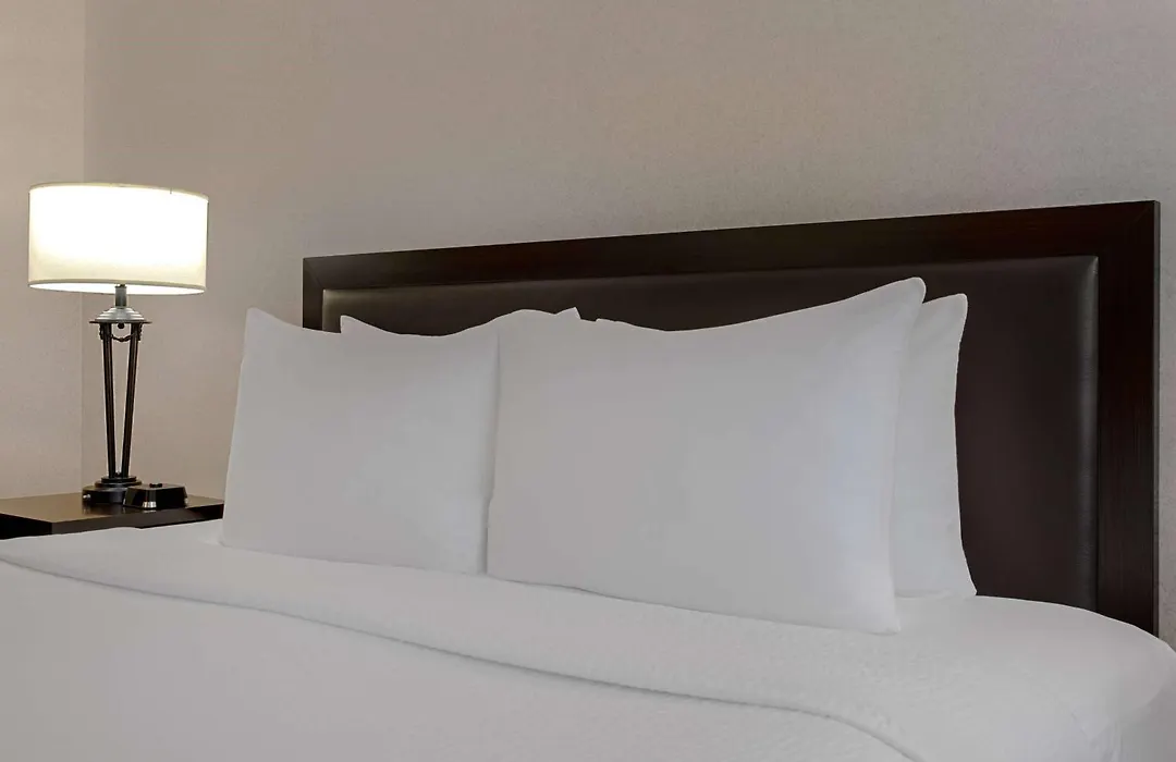 Ramada Plaza By Wyndham Calgary Downtown-1