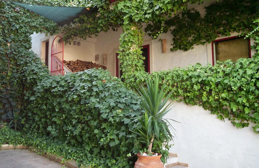 Casa Do Rio / Tavira Inn - Adults Only-1