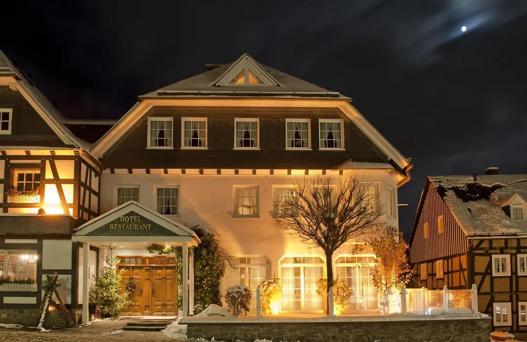 Hotel Sauerländer Hof-1