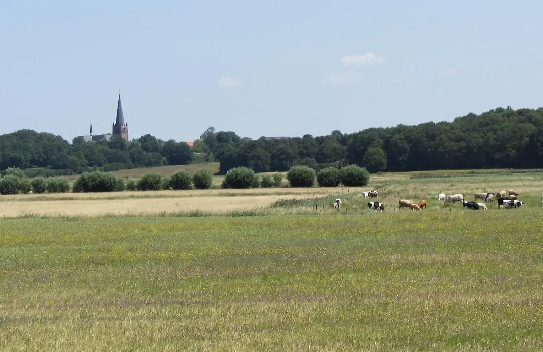 Hotel Dekkers-1