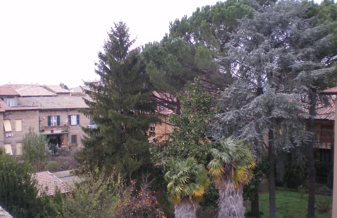 Hotel Valentino Centro Storico-1