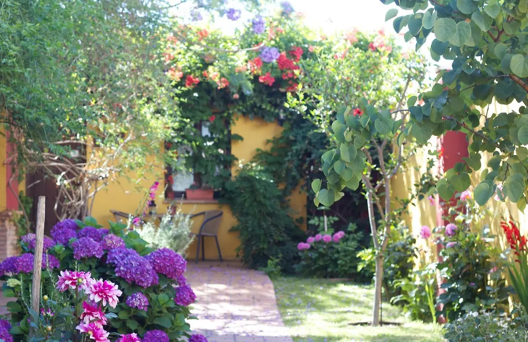 Hotel Doñana Blues-1