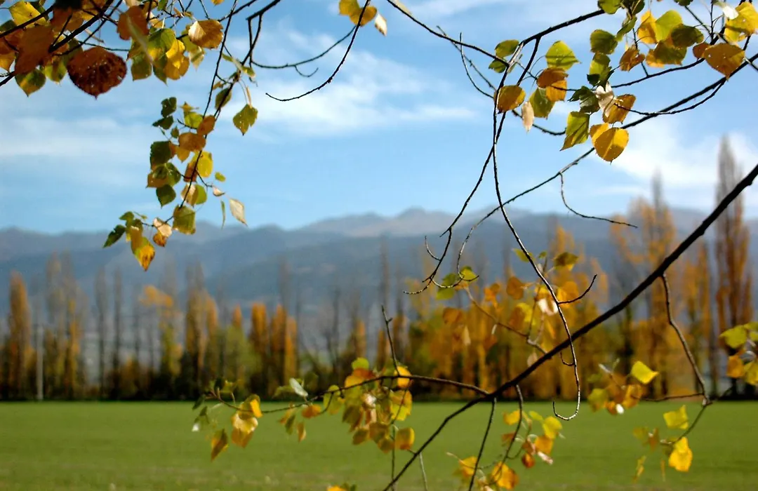 Campus Cerdanya-1
