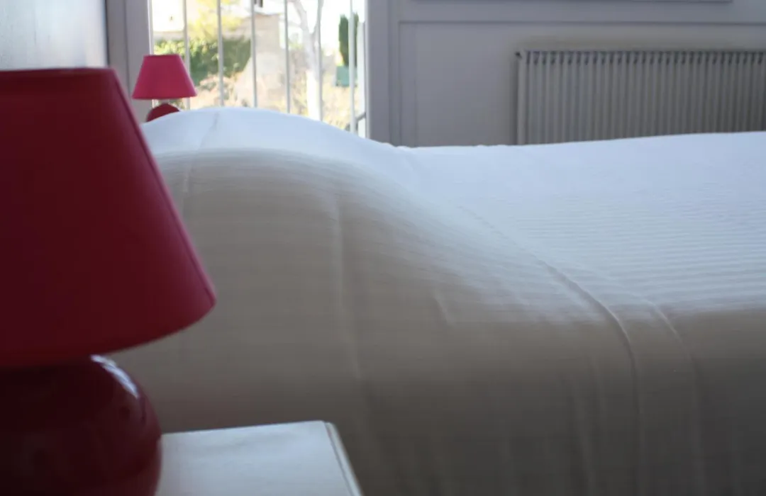 Logis Hotel du Midi-1