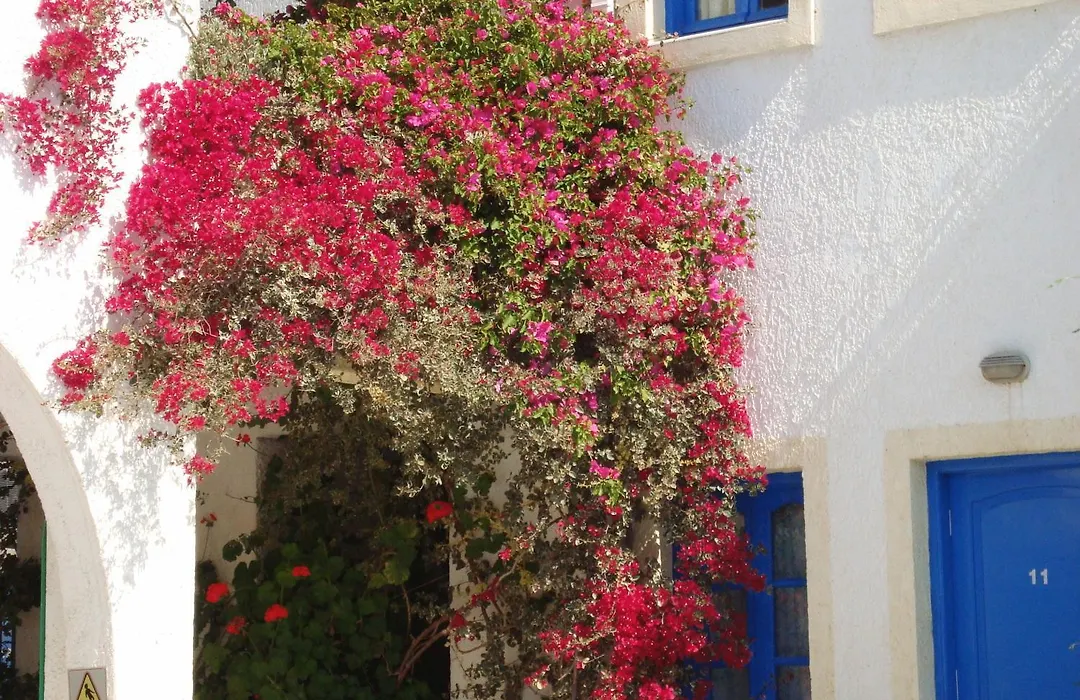 Creta Sun Hotel Studios-1