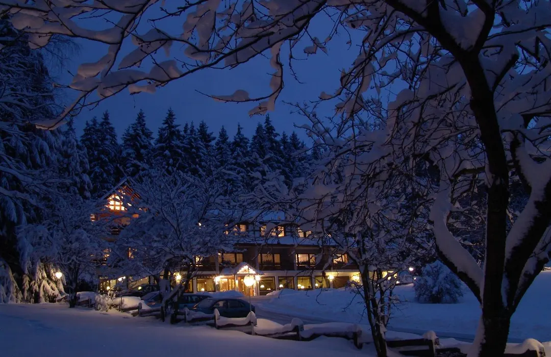 Hotel Kleins Wiese-1