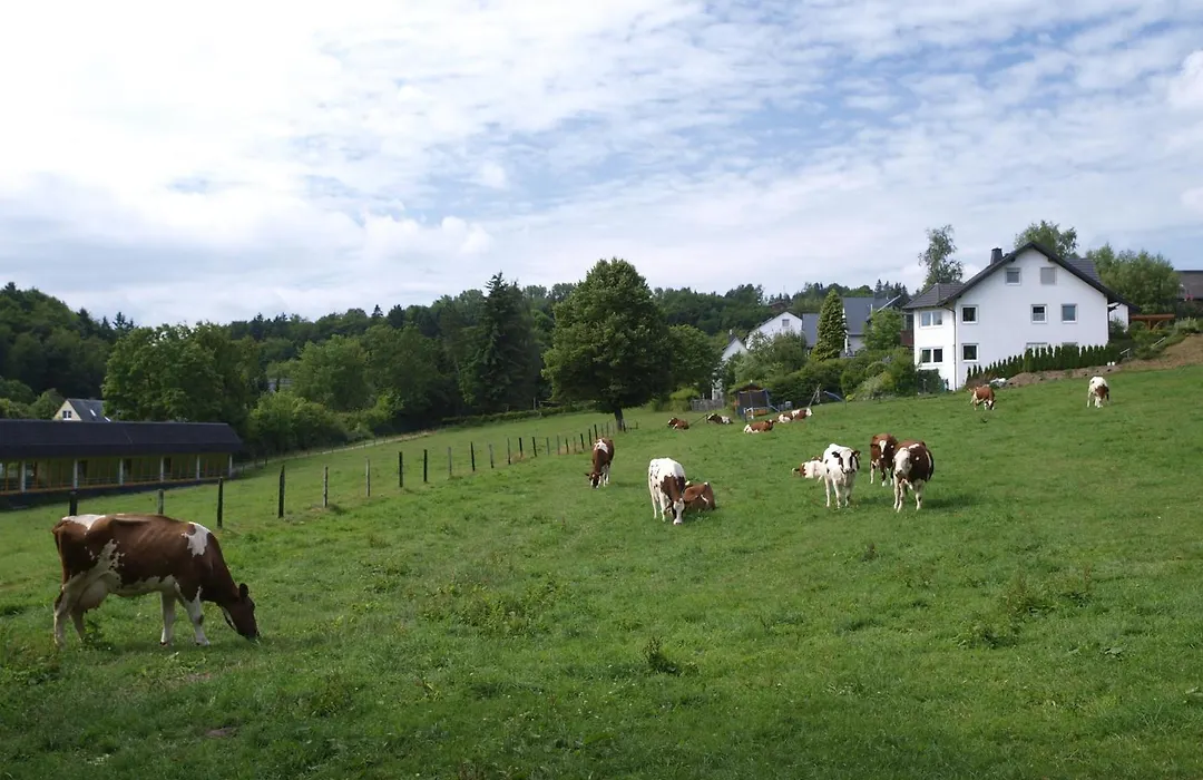 Landhotel Henkenhof Willingen-1