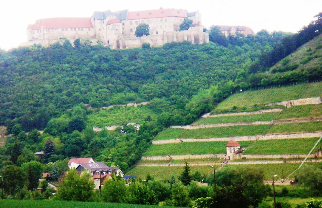 Hotel am Weinberg-1