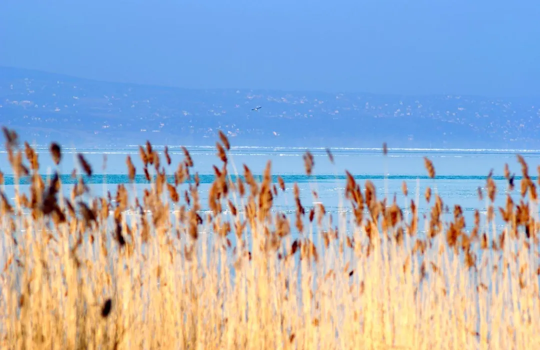 Hotel Azur Siofok-1