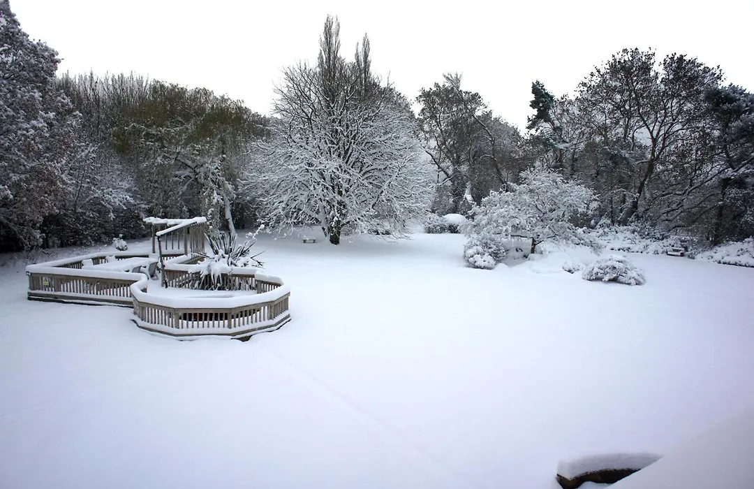 Claverton Country House Hotel-1