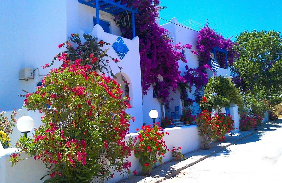 Pelagos Studios-1