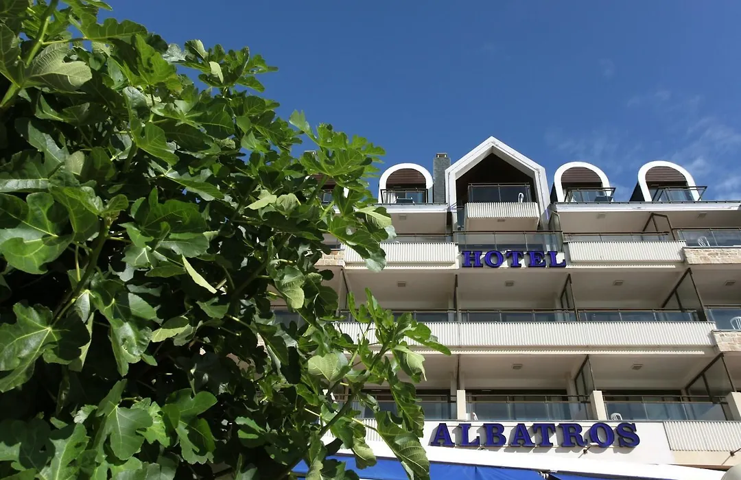 Albatros-1