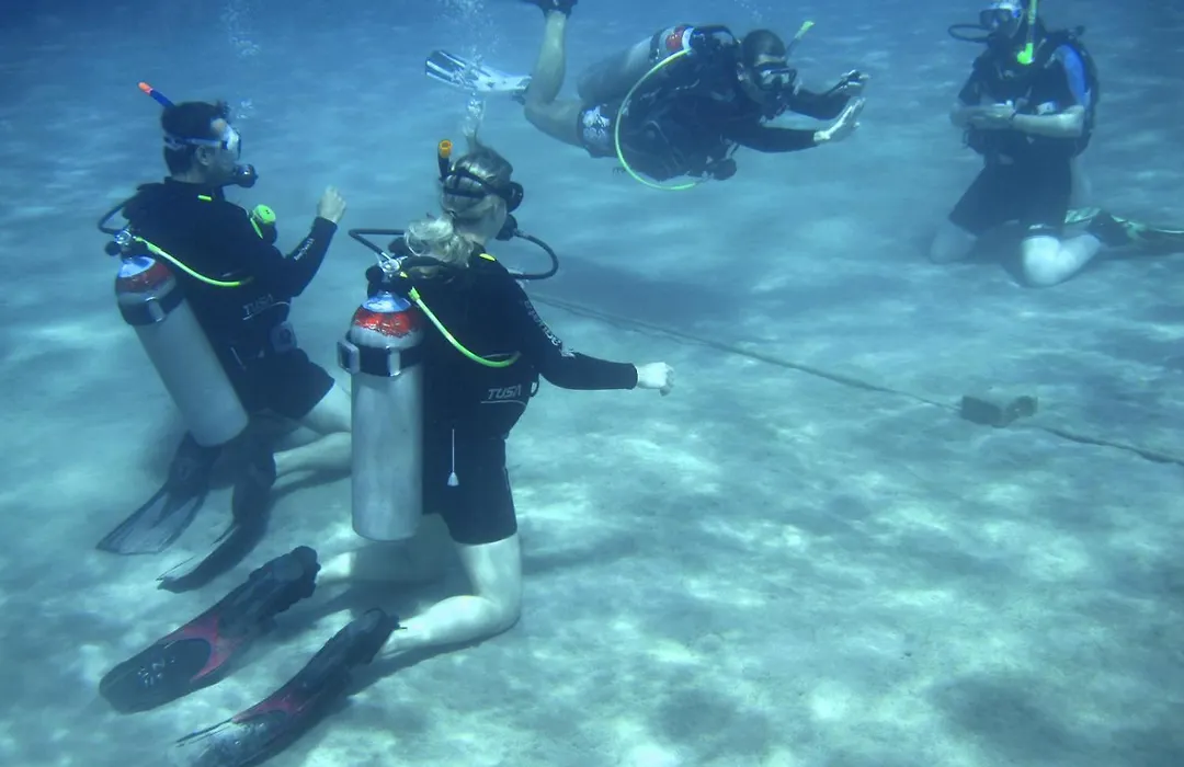 Oonas Dive Club-1