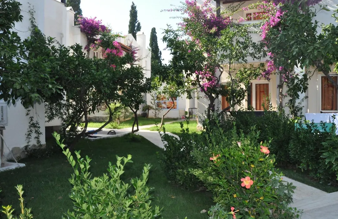Summer Garden Suites Beach Hotel-1