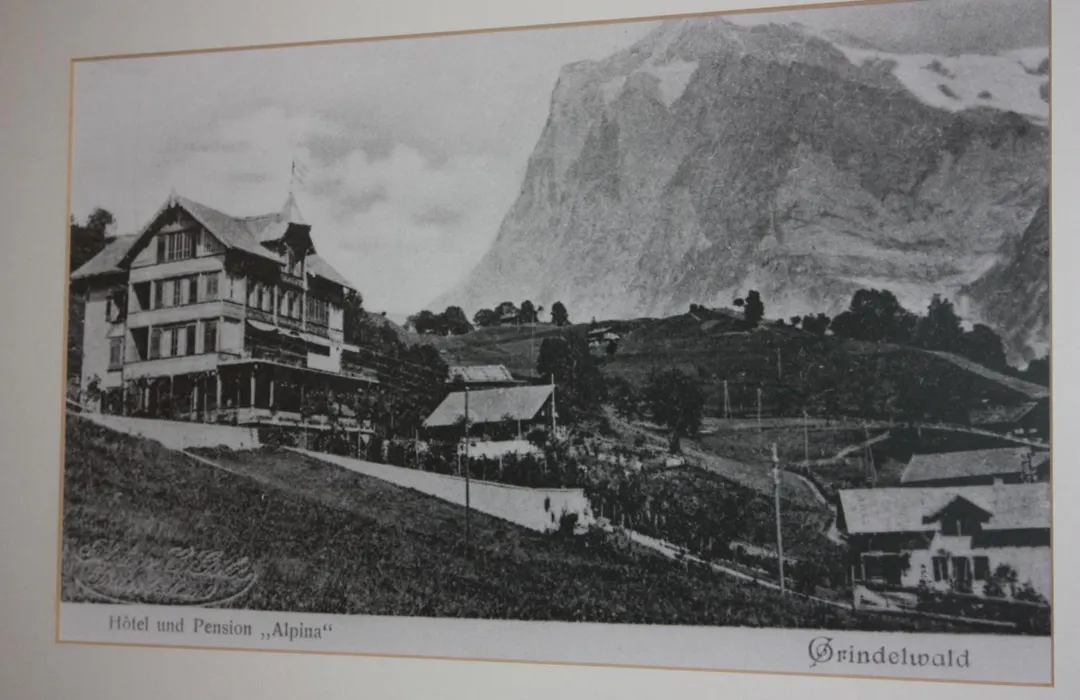 Hotel Restaurant Alpina-1