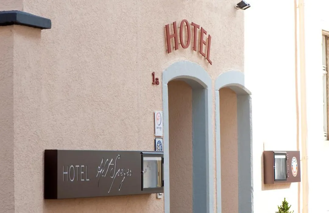Hotel Alt Speyer-1