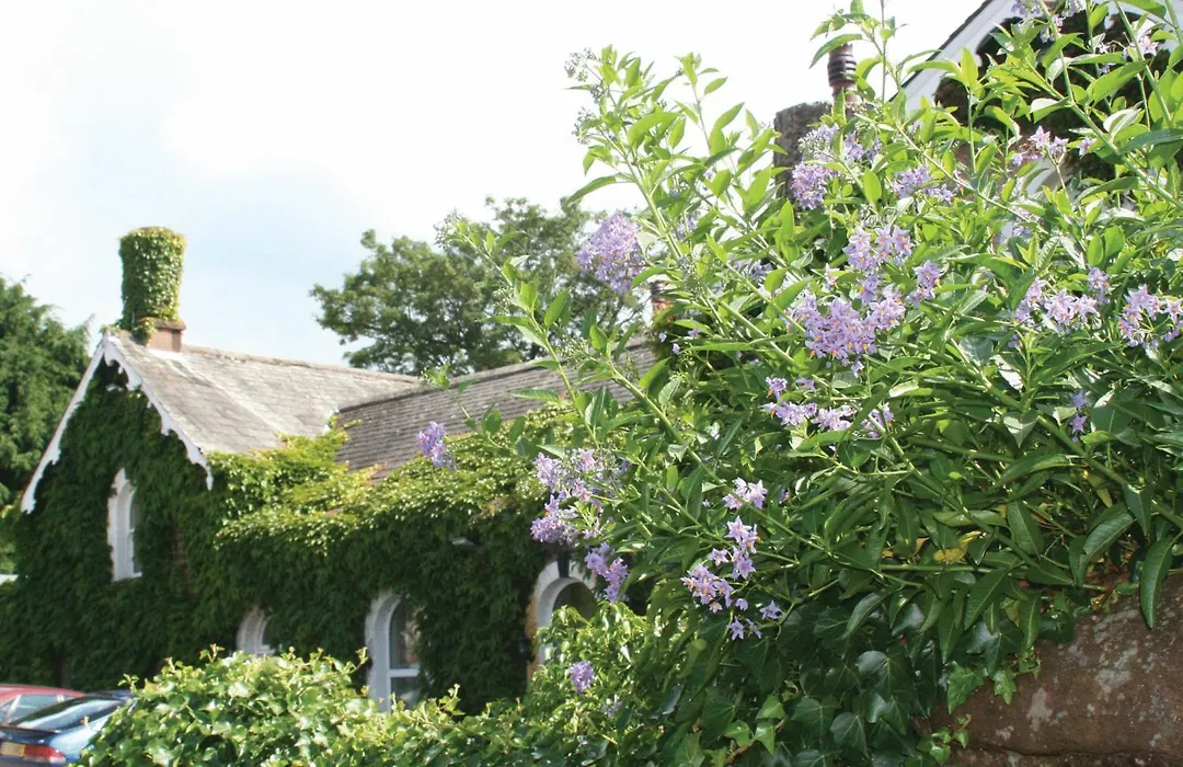 The Brantwood Hotel-1