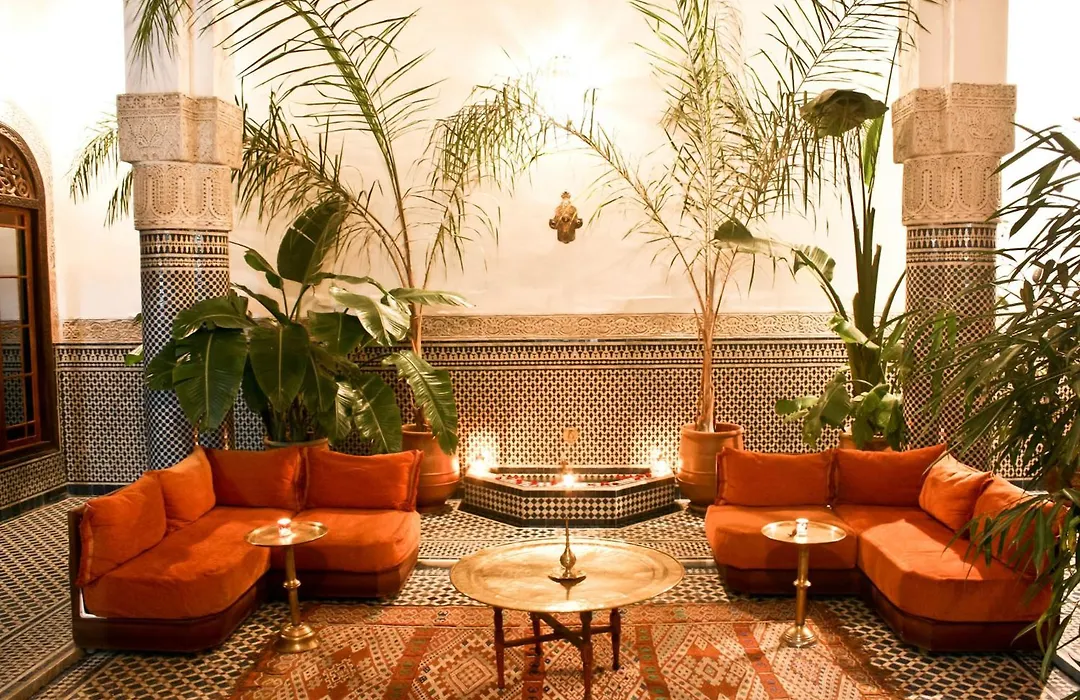 Riad Tayba-1