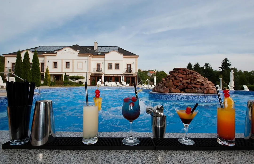Hotel Villa Voelgy Wellness & Konferencia-1