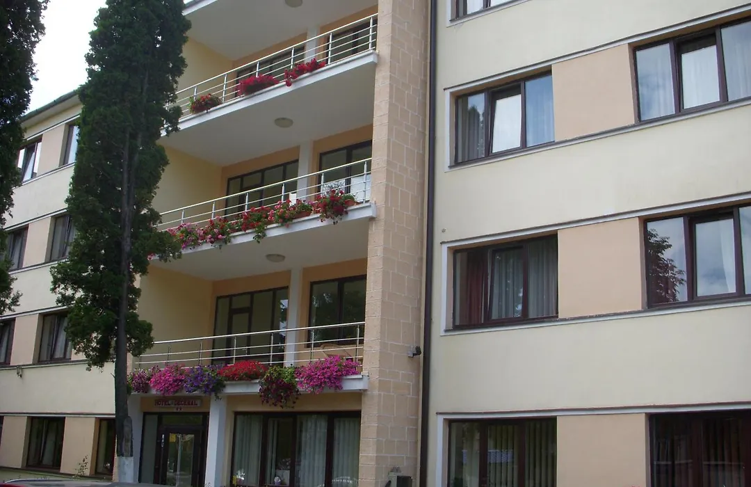 Hotel Decebal-1
