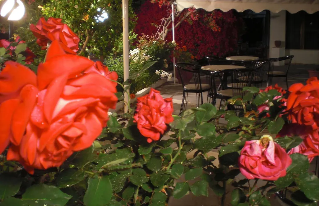 Esperides Hotel-1
