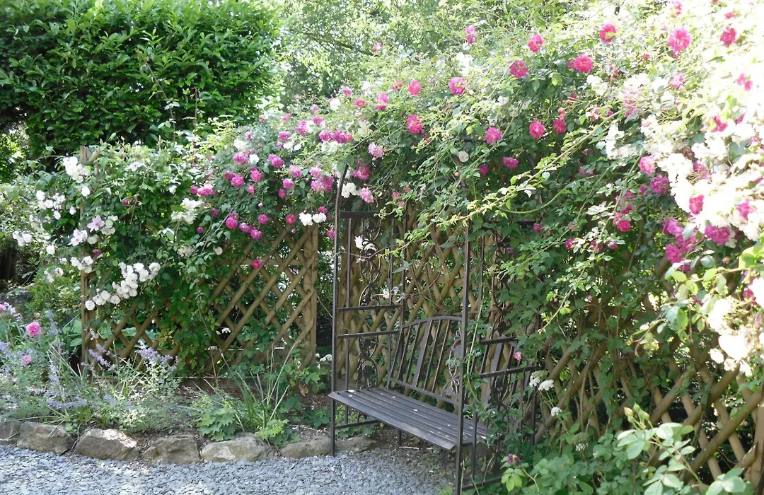 Storrs Gate House B & B No Pets Allowed-1