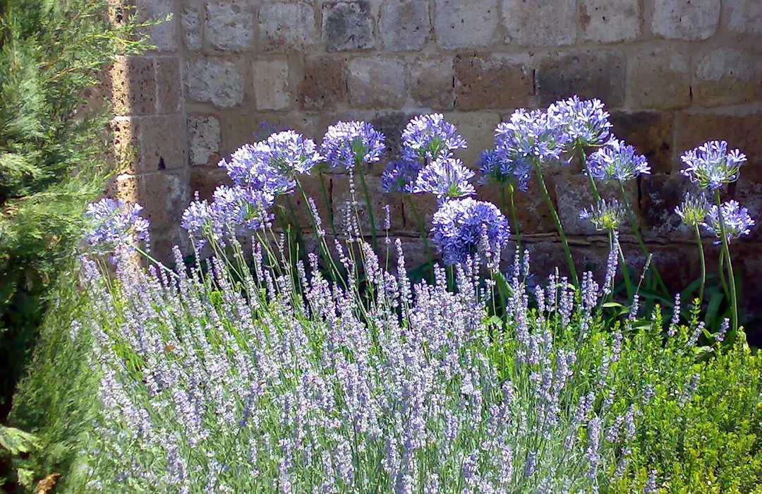 Locanda Palazzone-1