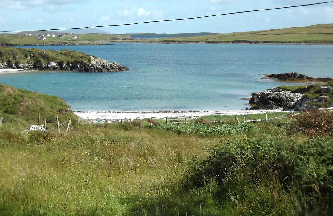 Seafield House B&B-1