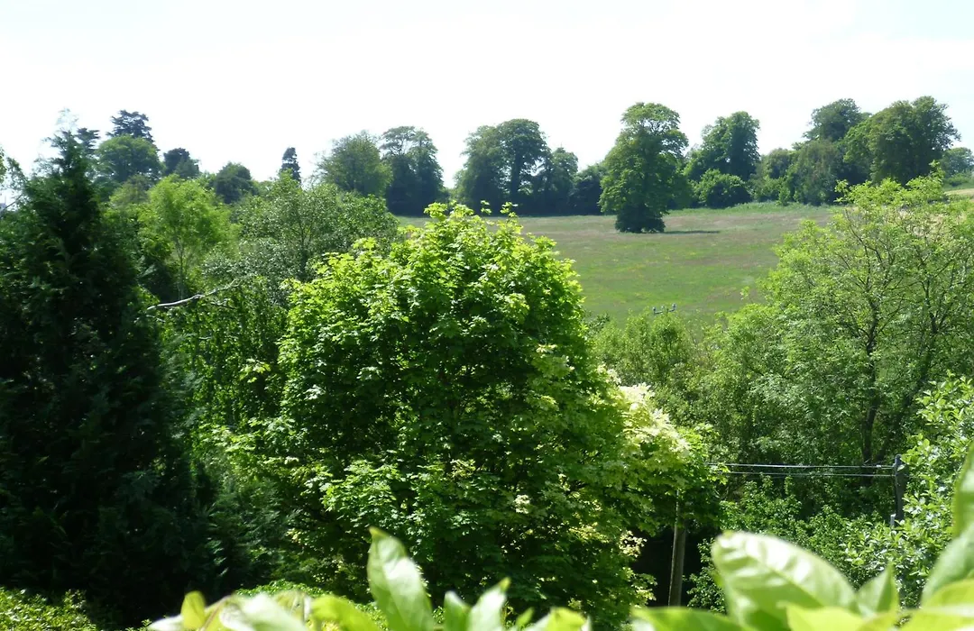 Diamond Hill Country House-1