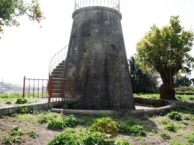 Pedra Iberica-1