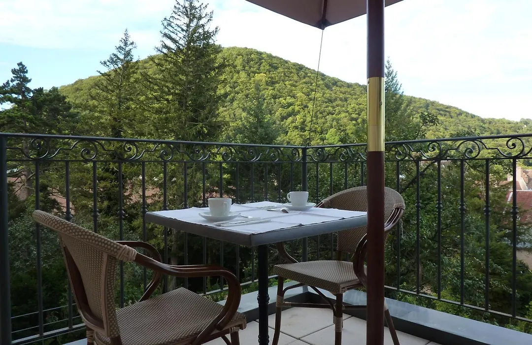 Hotel Restaurant Spa Le Sauvage-1