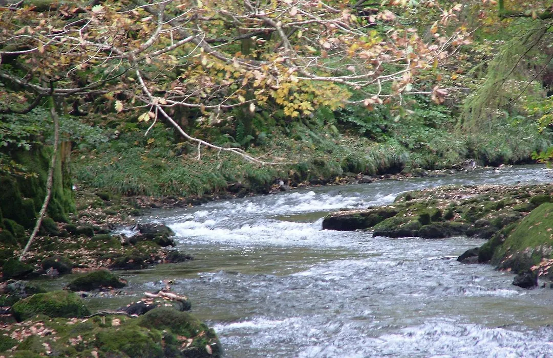 Glencree-1