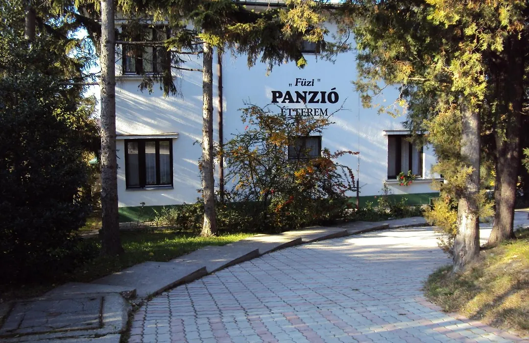 Füzi Panzió-1