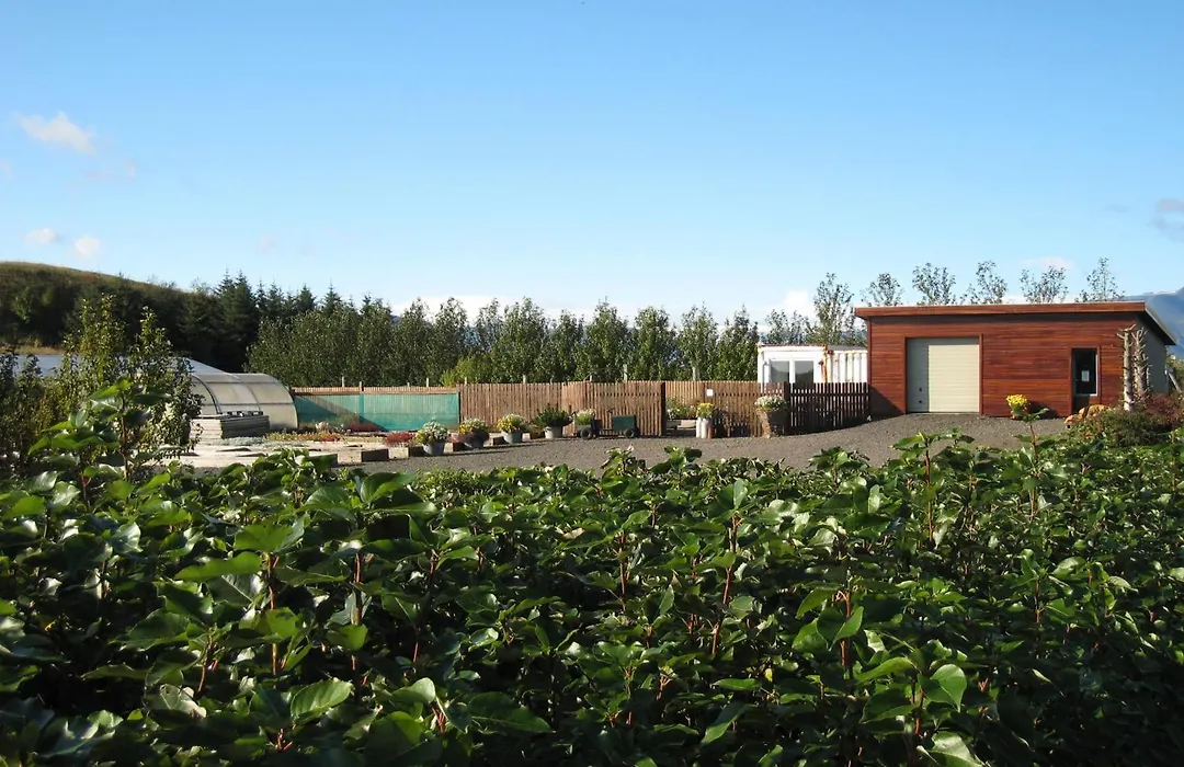Dilksnes Guesthouse-1