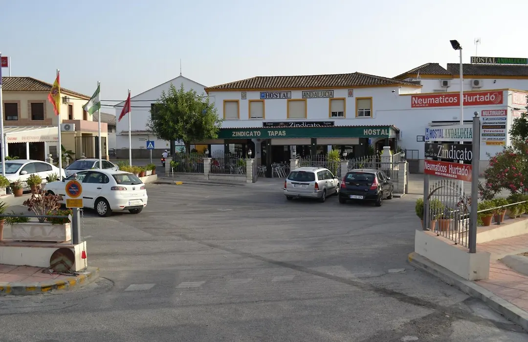 Hostal Andalucia De Arcos-1