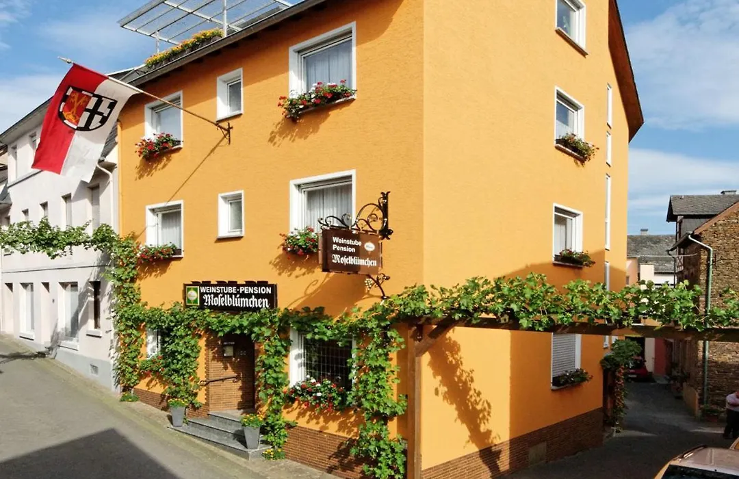 Weinstube Pension Moselblümchen-1