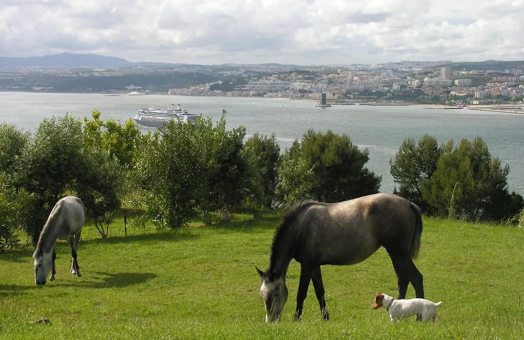 Quinta Tagus-1