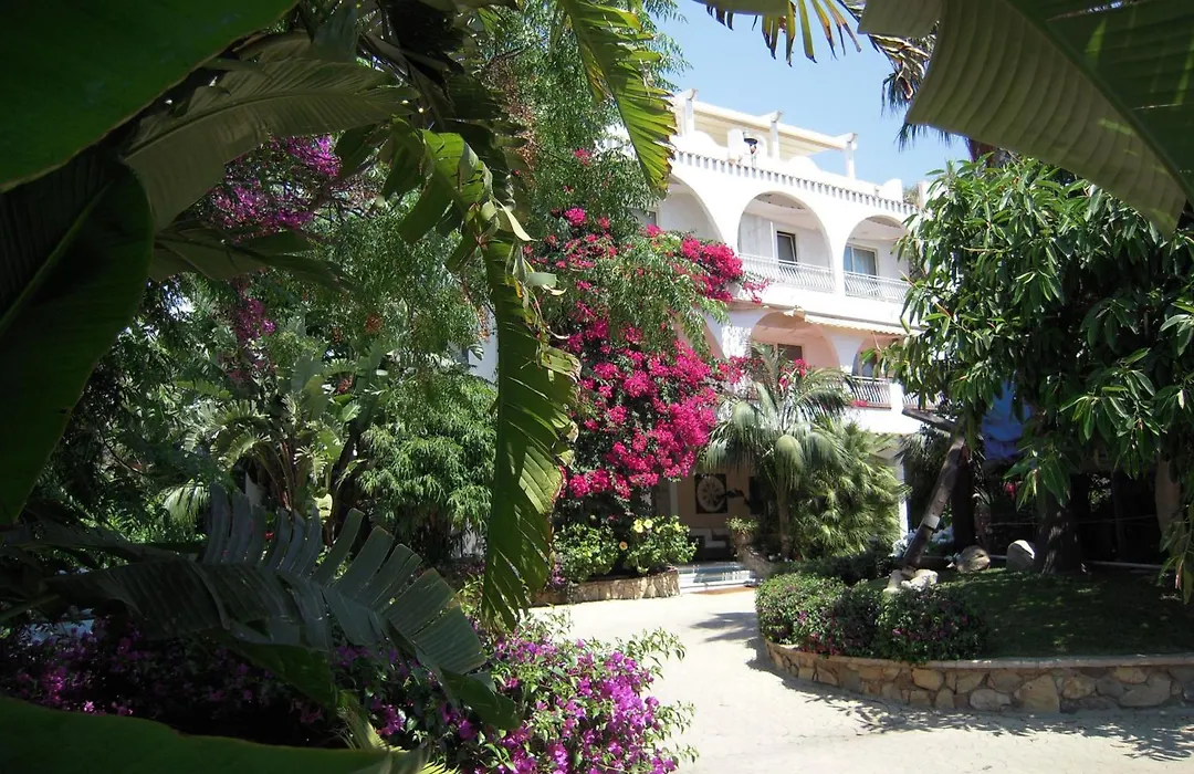 Hotel Simius Playa-1