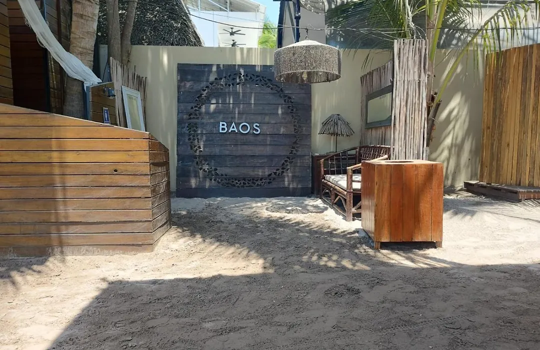 Baos-1
