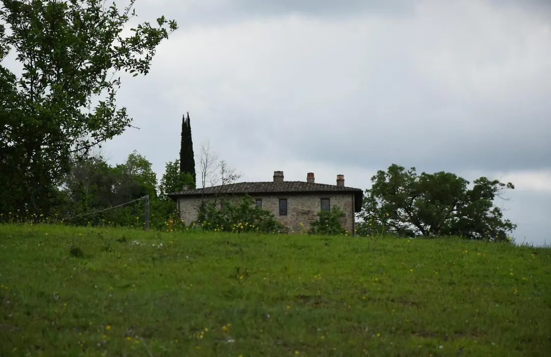 Agriturismo Il Poggio Degli Scoiattoli-1