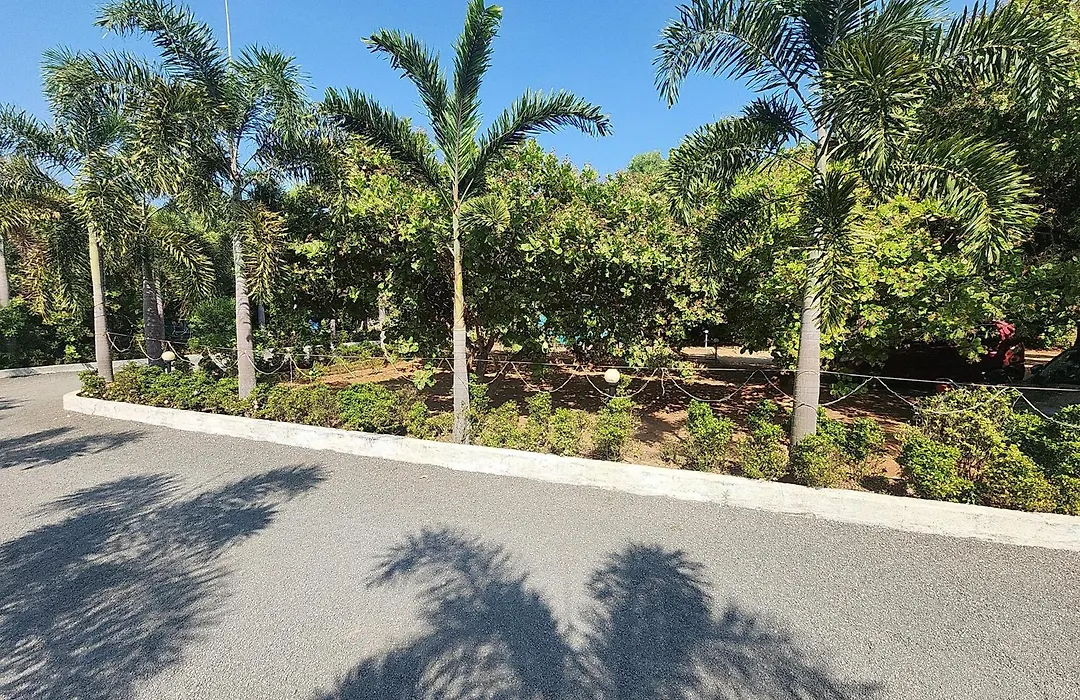 Paradise Forest Resort-1